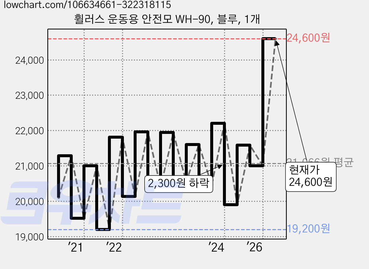 휠러스 운동용 안전모 WH-90, 블루, 1개 가격 변동 차트, 현재가 24,600원, 관측 최저가 19,200원