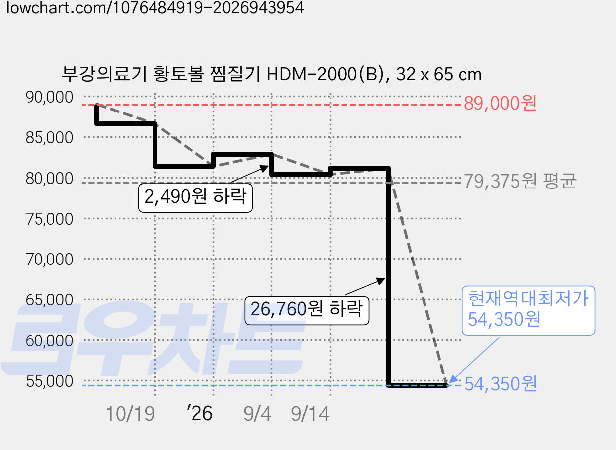 부강의료기 황토볼 찜질기 HDM-2000(B), 32 x 65 cm 가격 변동 차트, 현재가 54,350원, 역대최저가