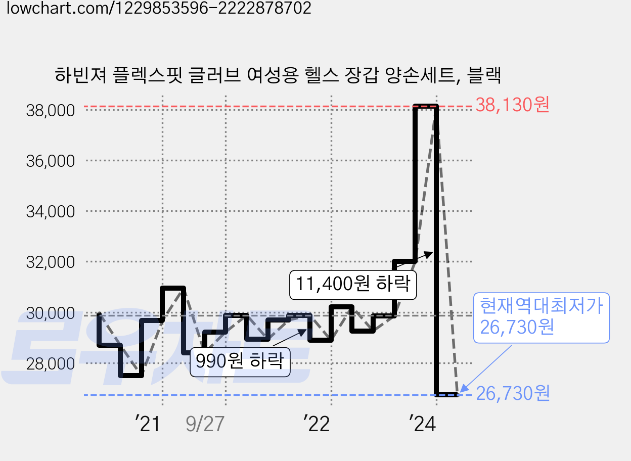 하빈져 플렉스핏 글러브 여성용 헬스 장갑 양손세트, 블랙 가격 변동 차트, 현재가 26,730원, 역대최저가