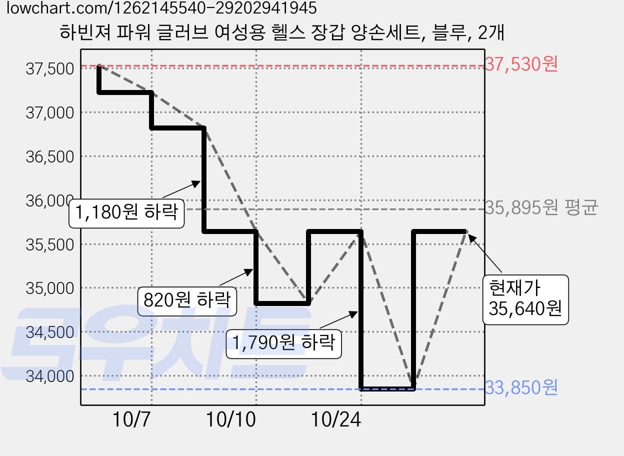 하빈져 파워 글러브 여성용 헬스 장갑 양손세트, 블루, 2개 가격 변동 차트, 현재가 33,850원, 역대최저가