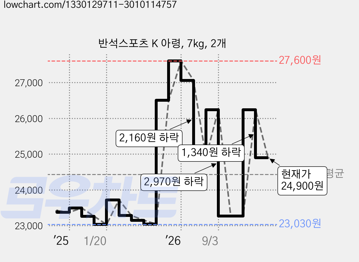 반석스포츠 K 아령, 7kg, 2개 가격 변동 차트, 현재가 24,900원, 관측 최저가 22,330원