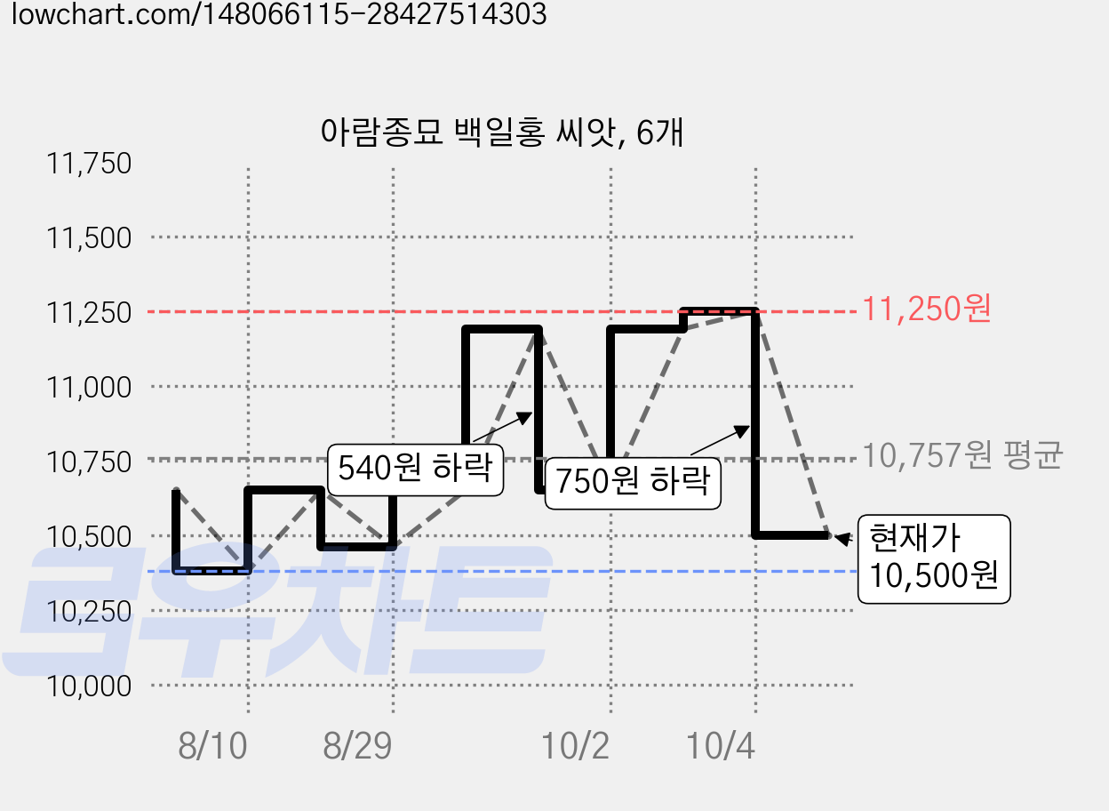 아람종묘 백일홍 씨앗, 6개 가격 변동 차트, 현재가 10,500원, 관측 최저가 10,380원