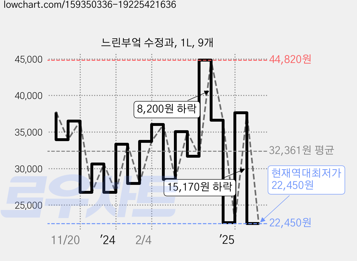 느린부엌 수정과, 1L, 9개 가격 변동 차트, 현재가 22,450원, 역대최저가