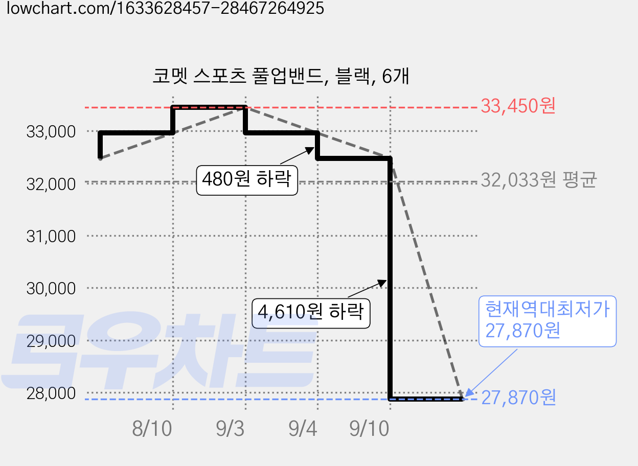 코멧 스포츠 풀업밴드, 블랙, 6개 가격 변동 차트, 현재가 27,870원, 역대최저가