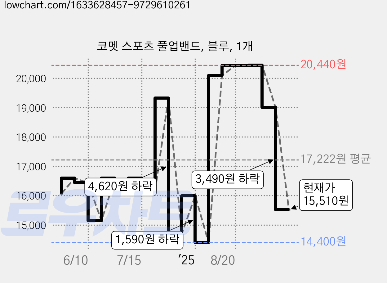 코멧 스포츠 풀업밴드, 블루, 1개 가격 변동 차트, 현재가 15,510원, 관측 최저가 13,960원