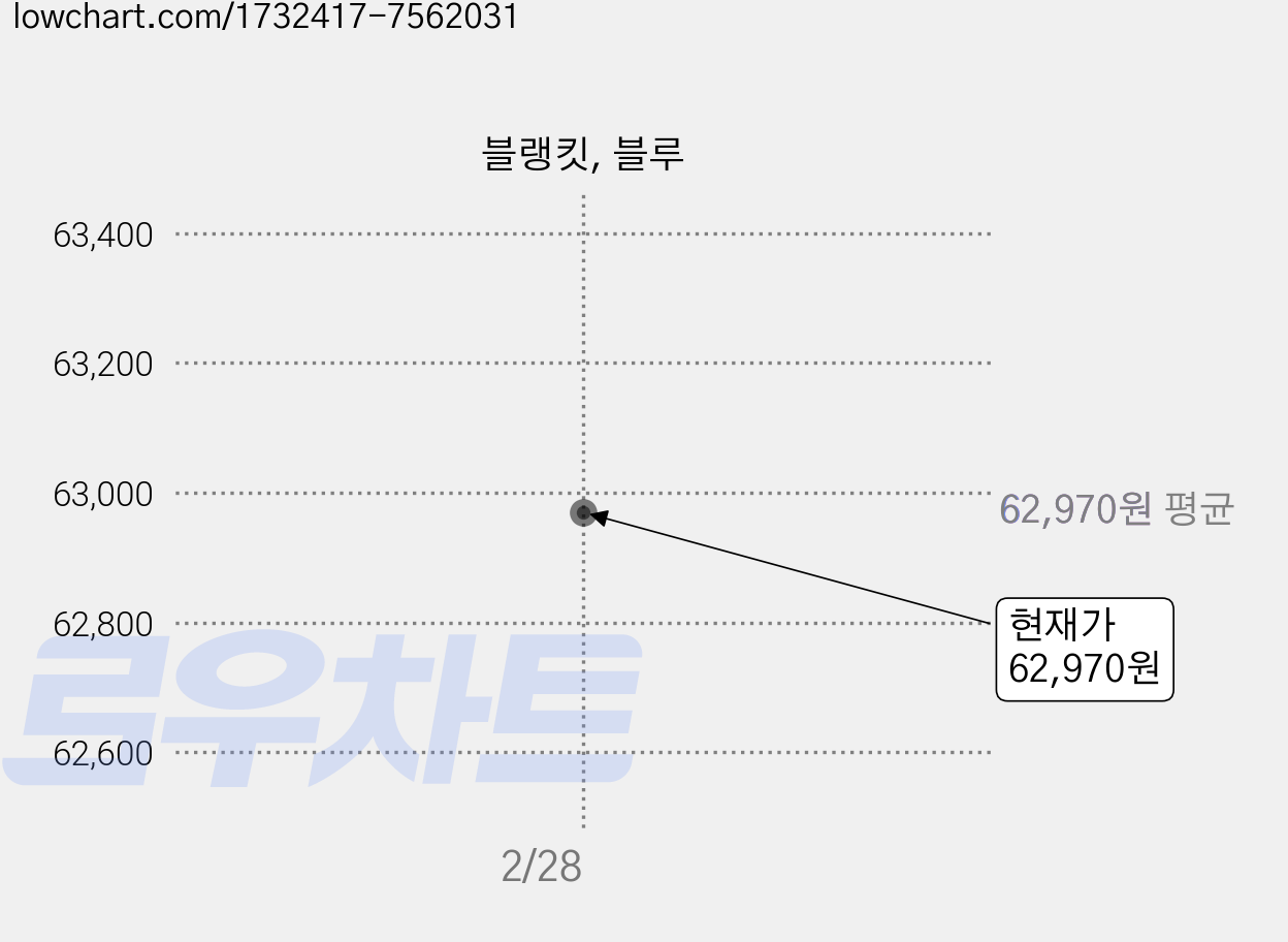 블랭킷, 블루 가격 변동 차트, 현재가 62,970원
