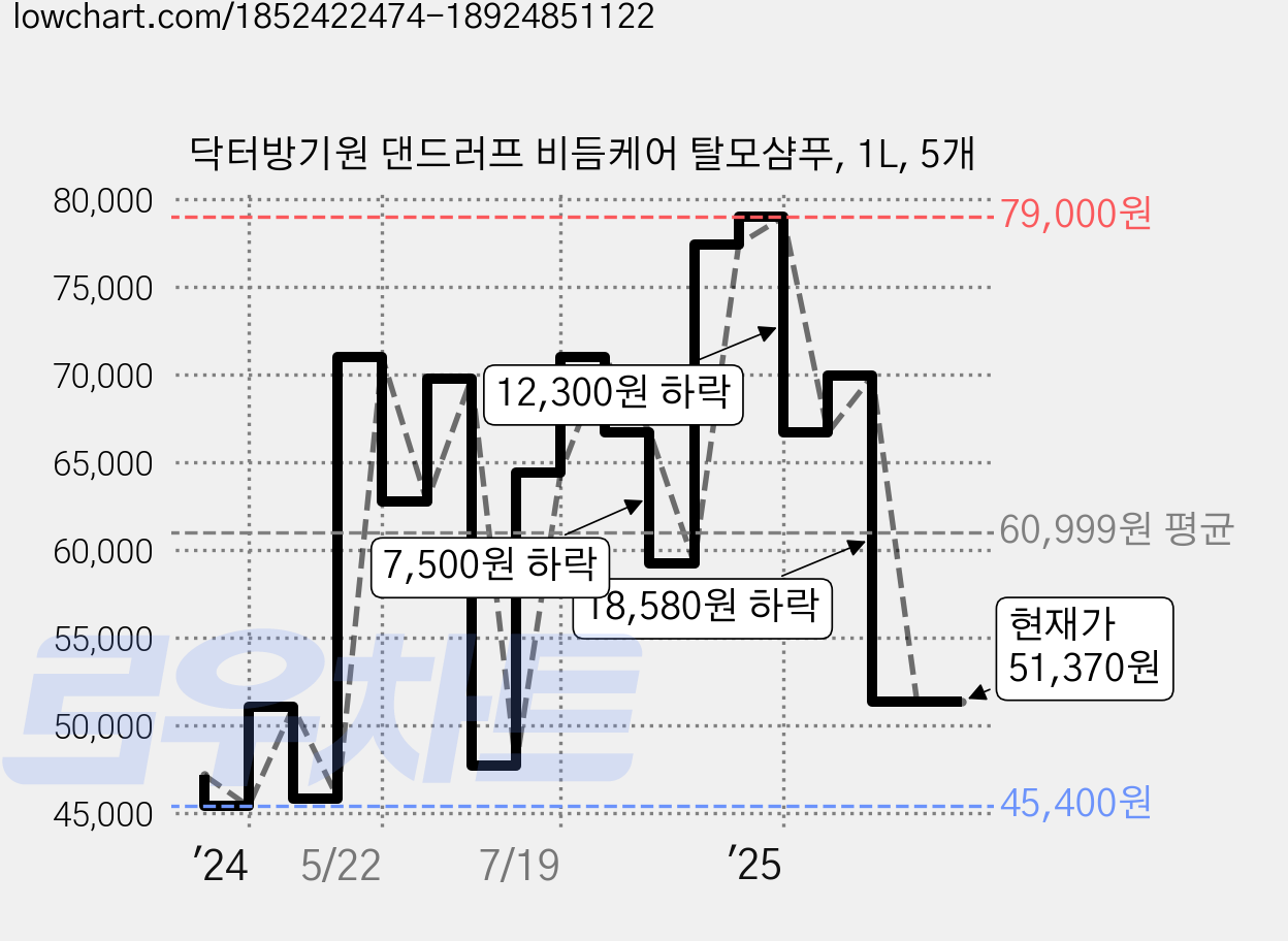 닥터방기원 댄드러프 비듬케어 탈모샴푸, 1L, 5개 가격 변동 차트, 현재가 51,370원, 관측 최저가 45,400원