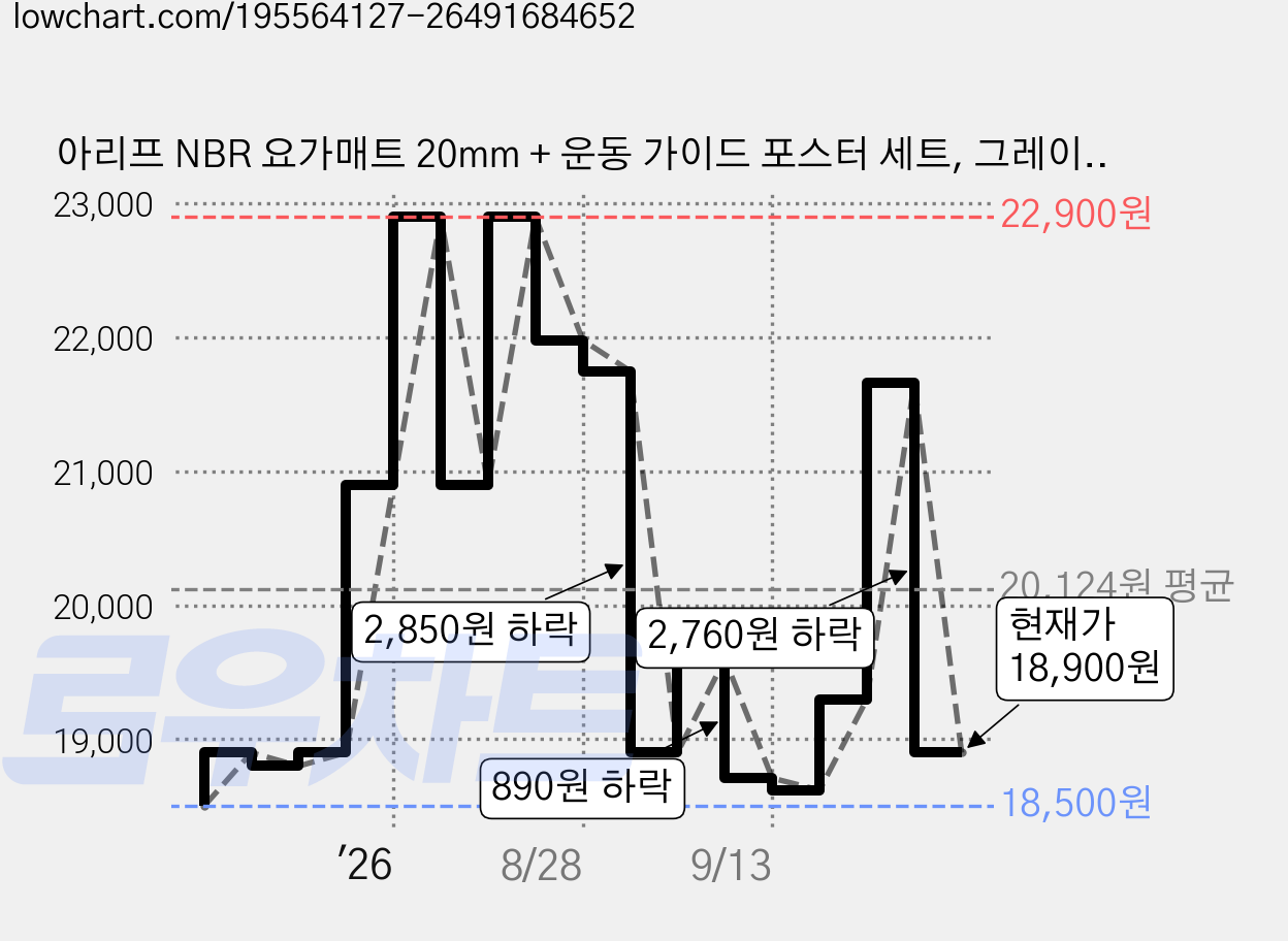 아리프 NBR 요가매트 20mm + 운동 가이드 포스터 세트, 그레이 블루, 1세트 가격 변동 차트, 현재가 18,900원, 관측 최저가 18,500원