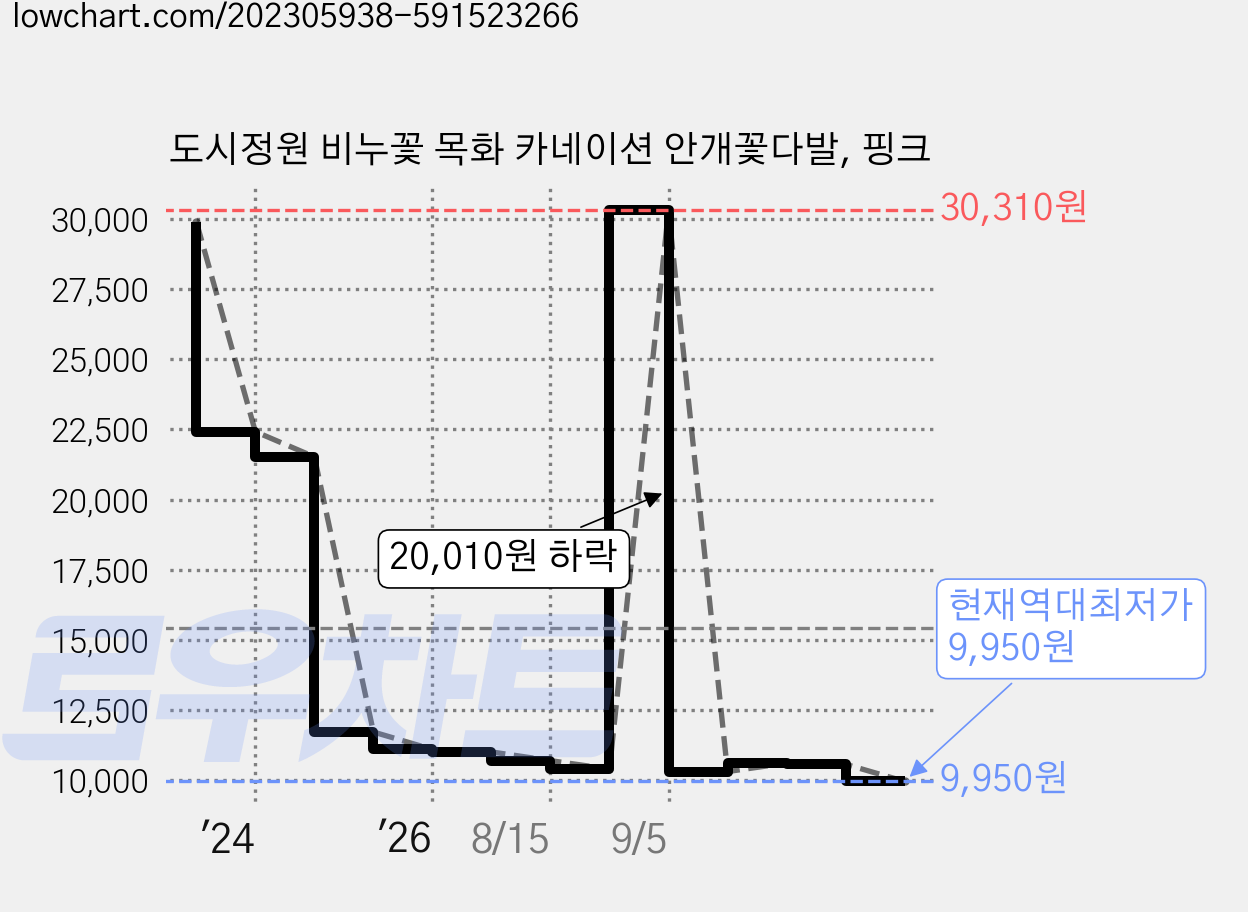 도시정원 비누꽃 목화 카네이션 안개꽃다발, 핑크 가격 변동 차트, 현재가 9,950원, 역대최저가