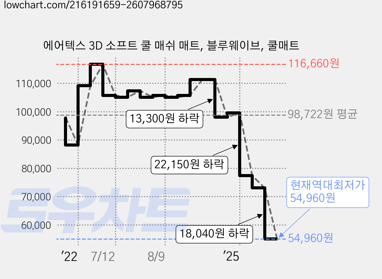 에어텍스 3D 소프트 쿨 매쉬 매트, 블루웨이브, 쿨매트 가격 변동 차트, 현재가 54,960원, 역대최저가