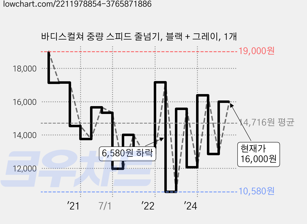 바디스컬쳐 중량 스피드 줄넘기, 블랙 + 그레이, 1개 가격 변동 차트, 현재가 16,000원, 관측 최저가 10,580원