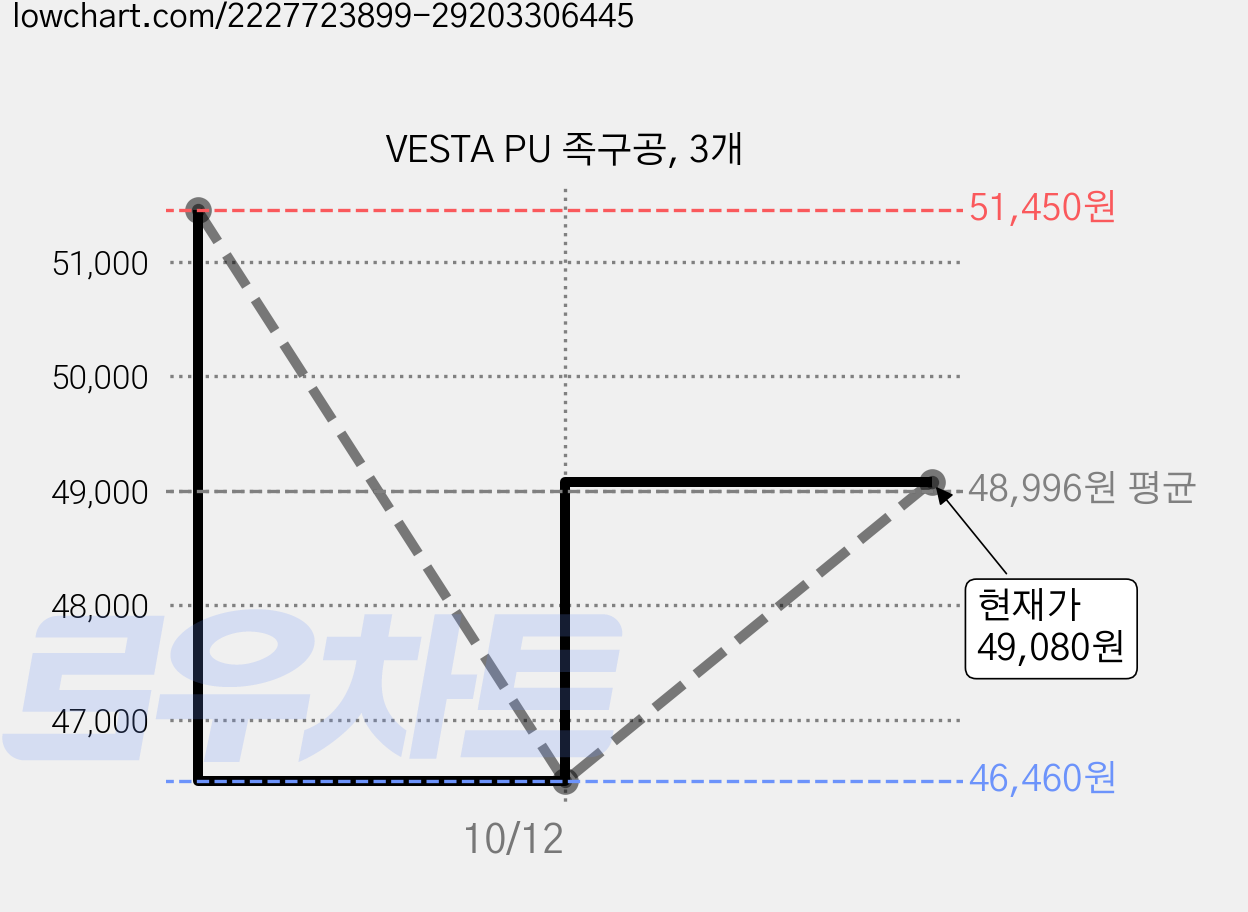 VESTA PU 족구공, 3개 가격 변동 차트, 현재가 49,080원, 관측 최저가 46,460원
