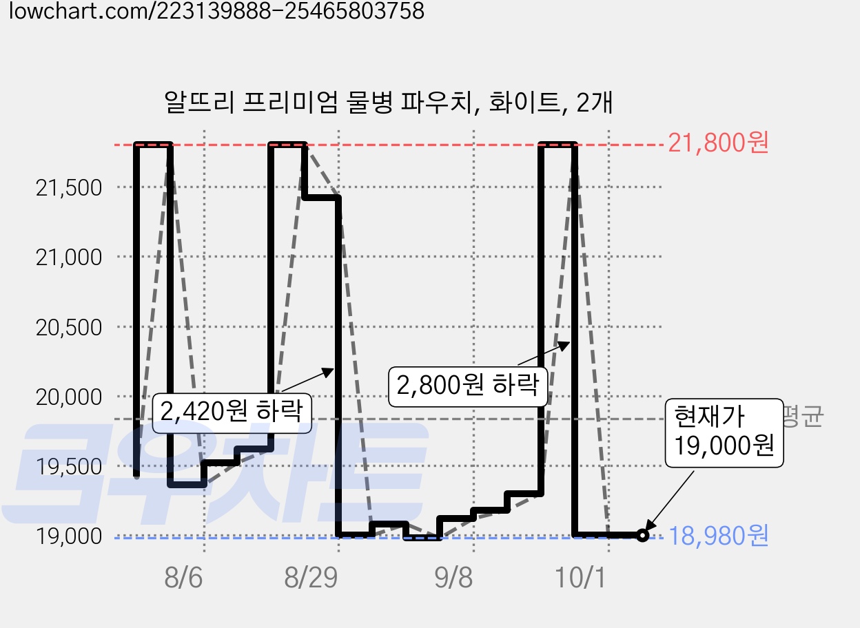 알뜨리 프리미엄 물병 파우치, 화이트, 2개 가격 변동 차트, 현재가 19,000원, 관측 최저가 18,980원