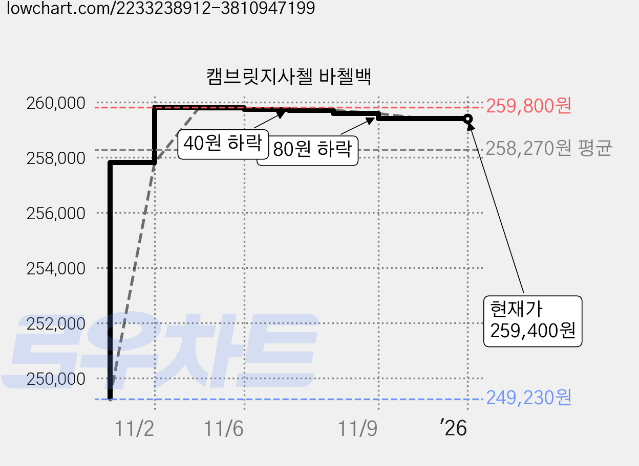 캠브릿지사첼 바첼백 가격 변동 차트, 현재가 259,400원, 역대최저가