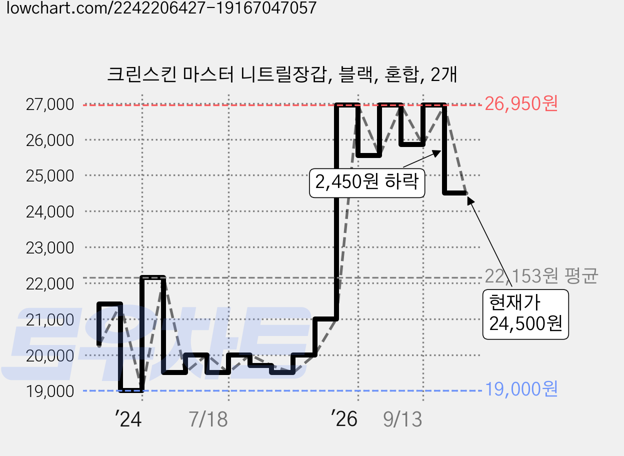 크린스킨 마스터 니트릴장갑, 블랙, 혼합, 2개 가격 변동 차트, 현재가 24,500원, 관측 최저가 19,000원