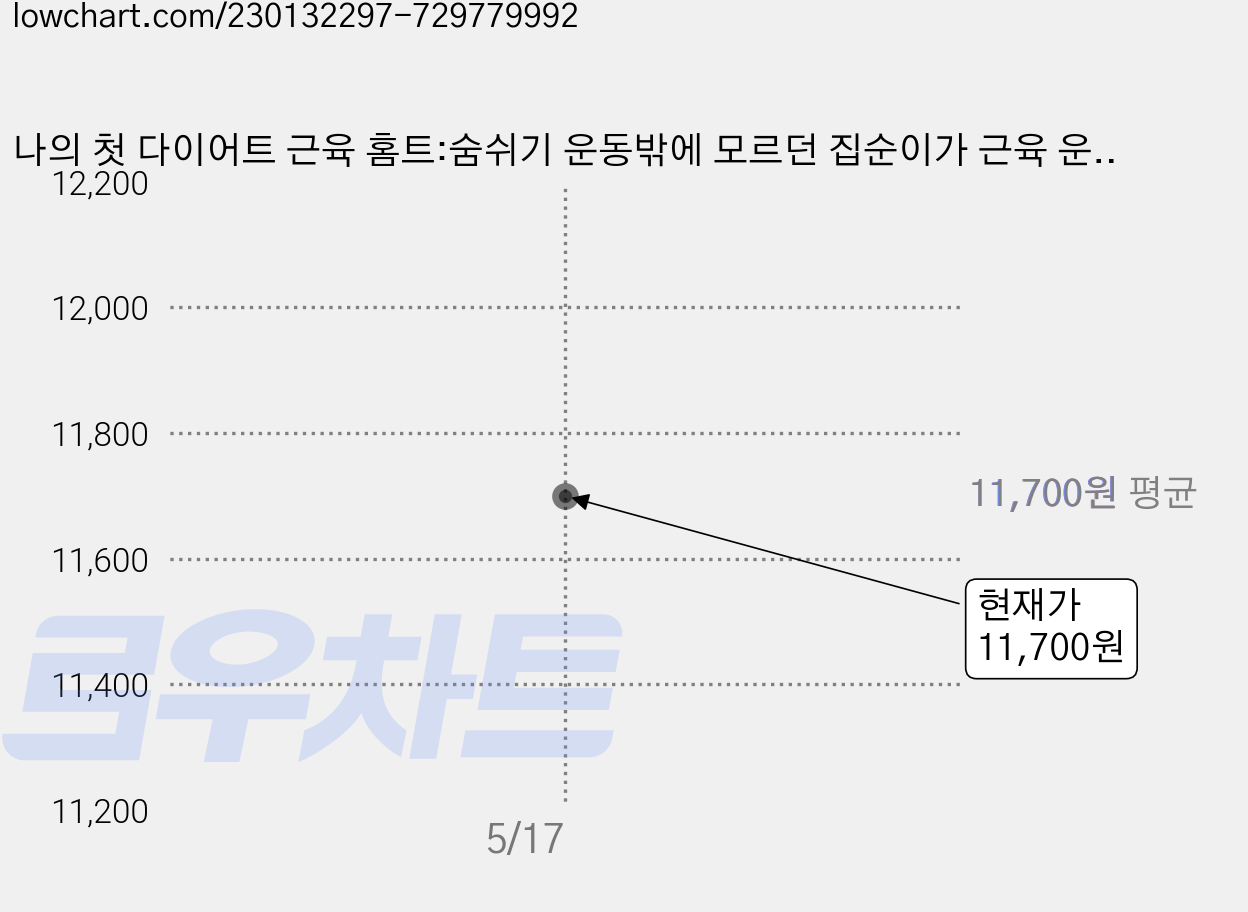 나의 첫 다이어트 근육 홈트:숨쉬기 운동밖에 모르던 집순이가 근육 운동을 시작했습니다, 비타북스, 도가와 아이 가격 변동 차트, 현재가 11,700원