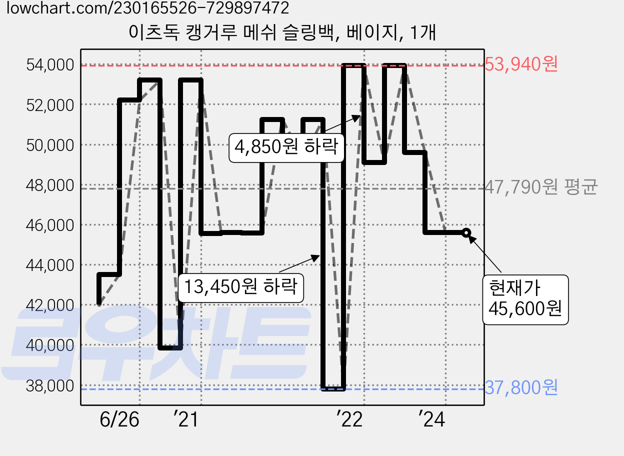 이츠독 캥거루 메쉬 슬링백, 베이지, 1개 가격 변동 차트, 현재가 45,600원, 관측 최저가 37,800원