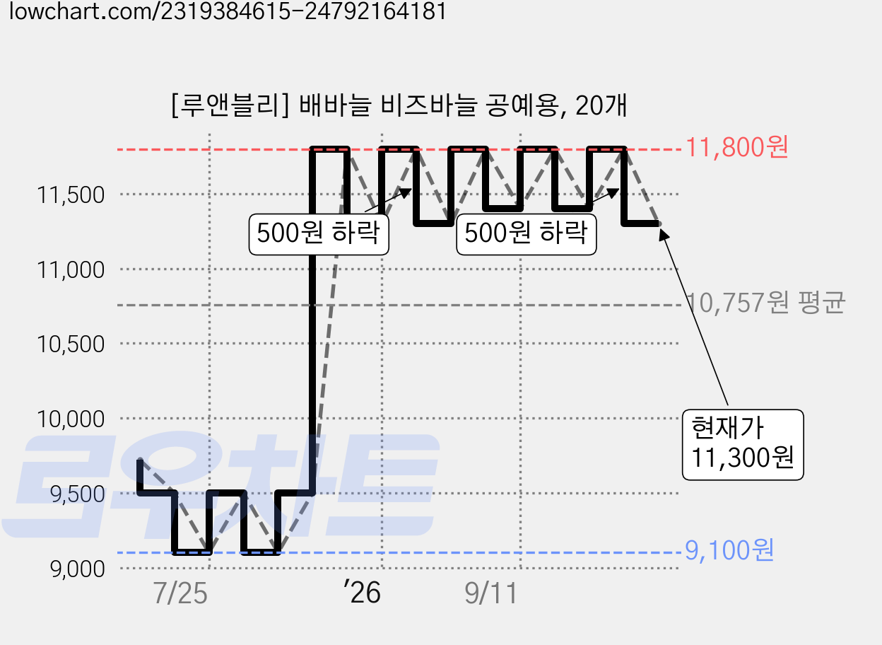 [루앤블리] 배바늘 비즈바늘 공예용, 20개 가격 변동 차트, 현재가 11,300원, 관측 최저가 9,100원