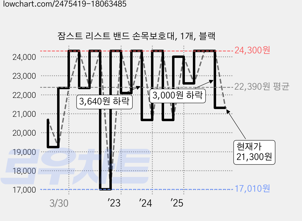 잠스트 리스트 밴드 손목보호대, 1개, 블랙 가격 변동 차트, 현재가 21,300원, 관측 최저가 16,470원