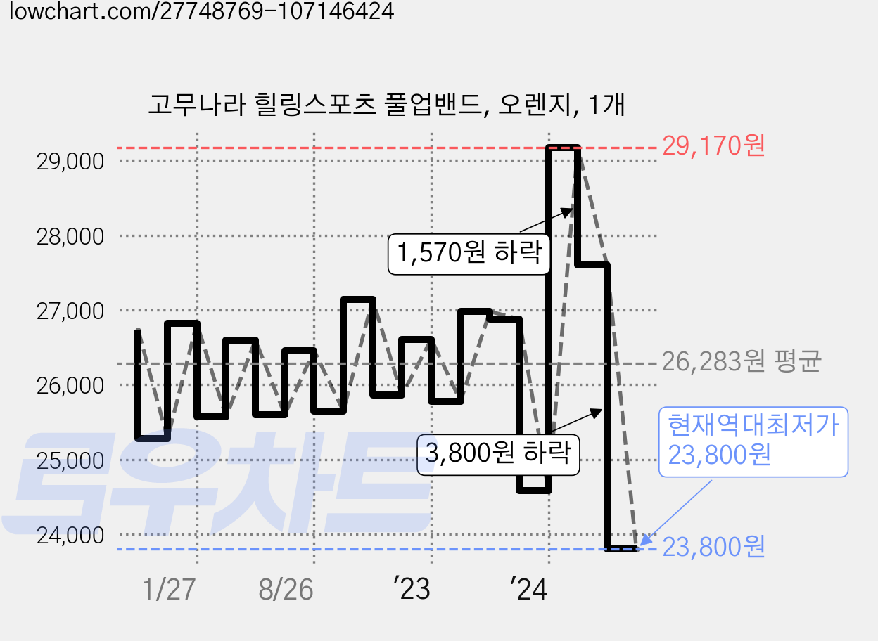 고무나라 힐링스포츠 풀업밴드, 오렌지, 1개 가격 변동 차트, 현재가 23,800원, 역대최저가