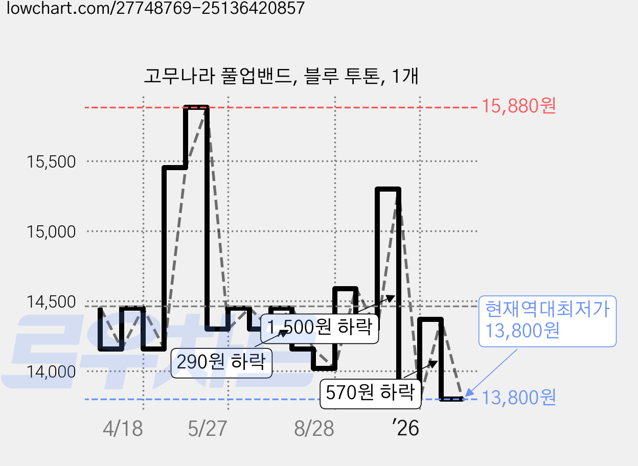 고무나라 풀업밴드, 블루 투톤, 1개 가격 변동 차트, 현재가 13,800원, 역대최저가