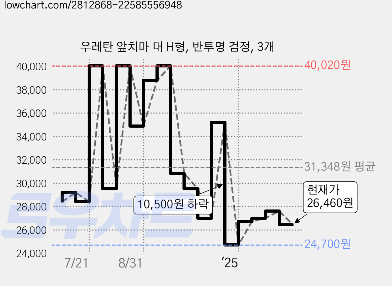 우레탄 앞치마 대 H형, 반투명 검정, 3개 가격 변동 차트, 현재가 26,460원, 관측 최저가 24,700원