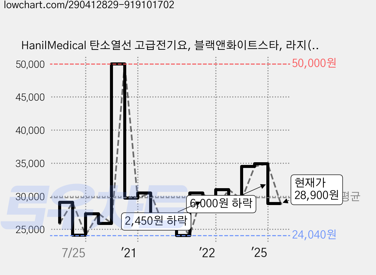 HanilMedical 탄소열선 고급전기요, 블랙앤화이트스타, 라지(135 x 180 cm) 가격 변동 차트, 현재가 28,900원, 관측 최저가 24,040원