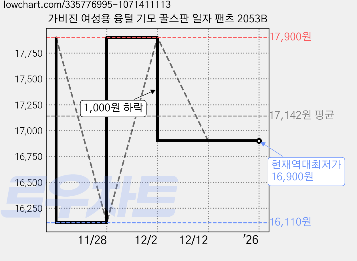 가비진 여성용 융털 기모 꿀스판 일자 팬츠 2053B 가격 변동 차트, 현재가 16,900원, 역대최저가