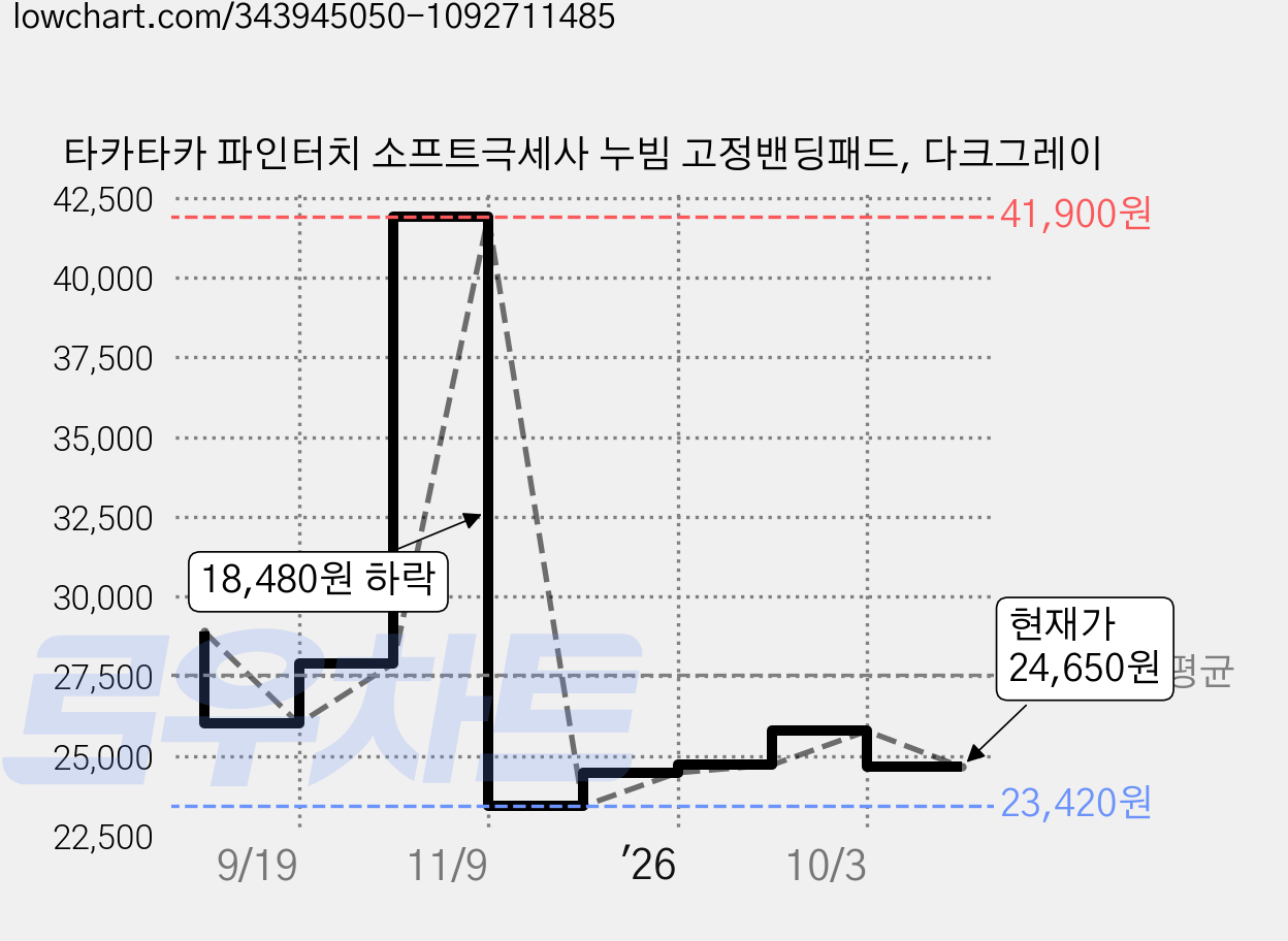 타카타카 파인터치 소프트극세사 누빔 고정밴딩패드, 다크그레이 가격 변동 차트, 현재가 24,650원, 관측 최저가 23,420원