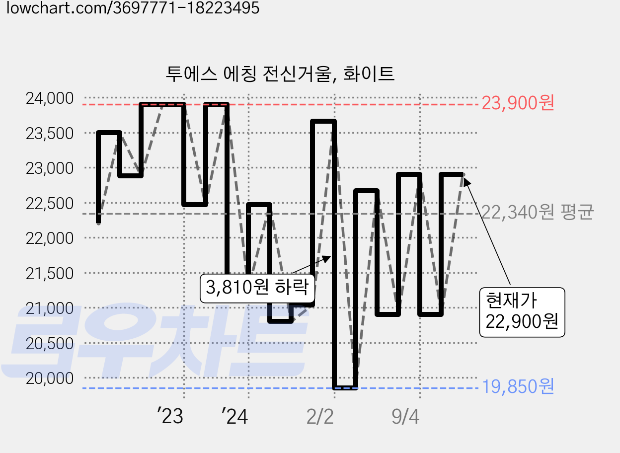 투에스 에칭 전신거울, 화이트 가격 변동 차트, 현재가 22,900원, 관측 최저가 19,850원