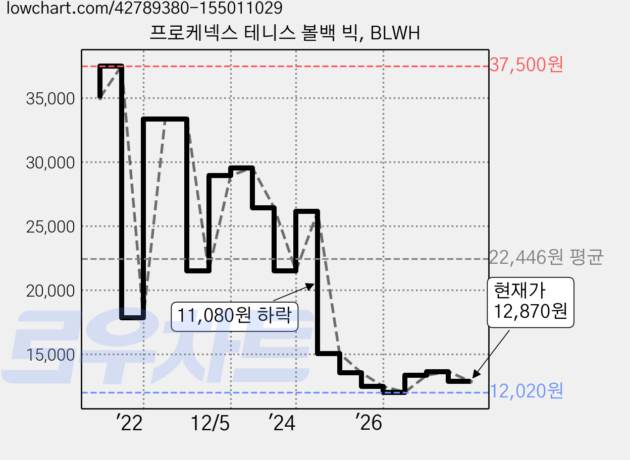 프로케넥스 테니스 볼백 빅, BLWH 가격 변동 차트, 현재가 12,870원, 관측 최저가 11,830원