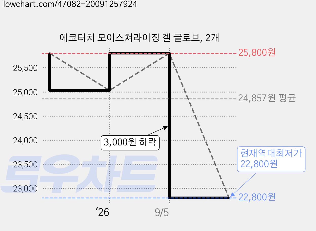 에코터치 모이스쳐라이징 겔 글로브, 2개 가격 변동 차트, 현재가 22,800원, 역대최저가