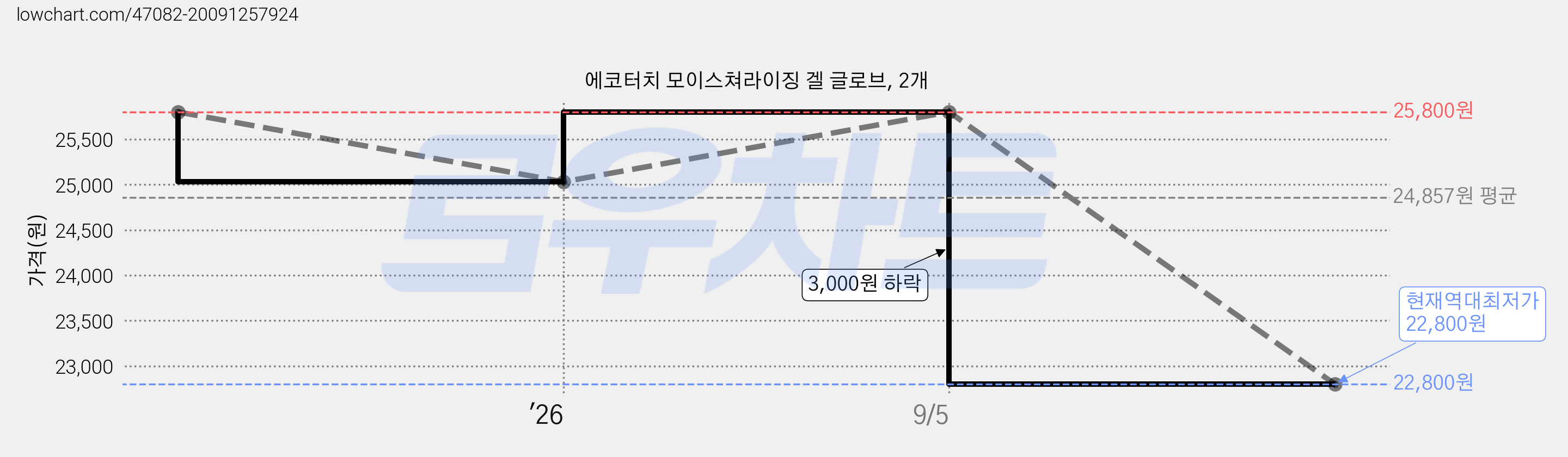 에코터치 모이스쳐라이징 겔 글로브, 2개 가격 변동 차트, 현재가 22,800원, 역대최저가