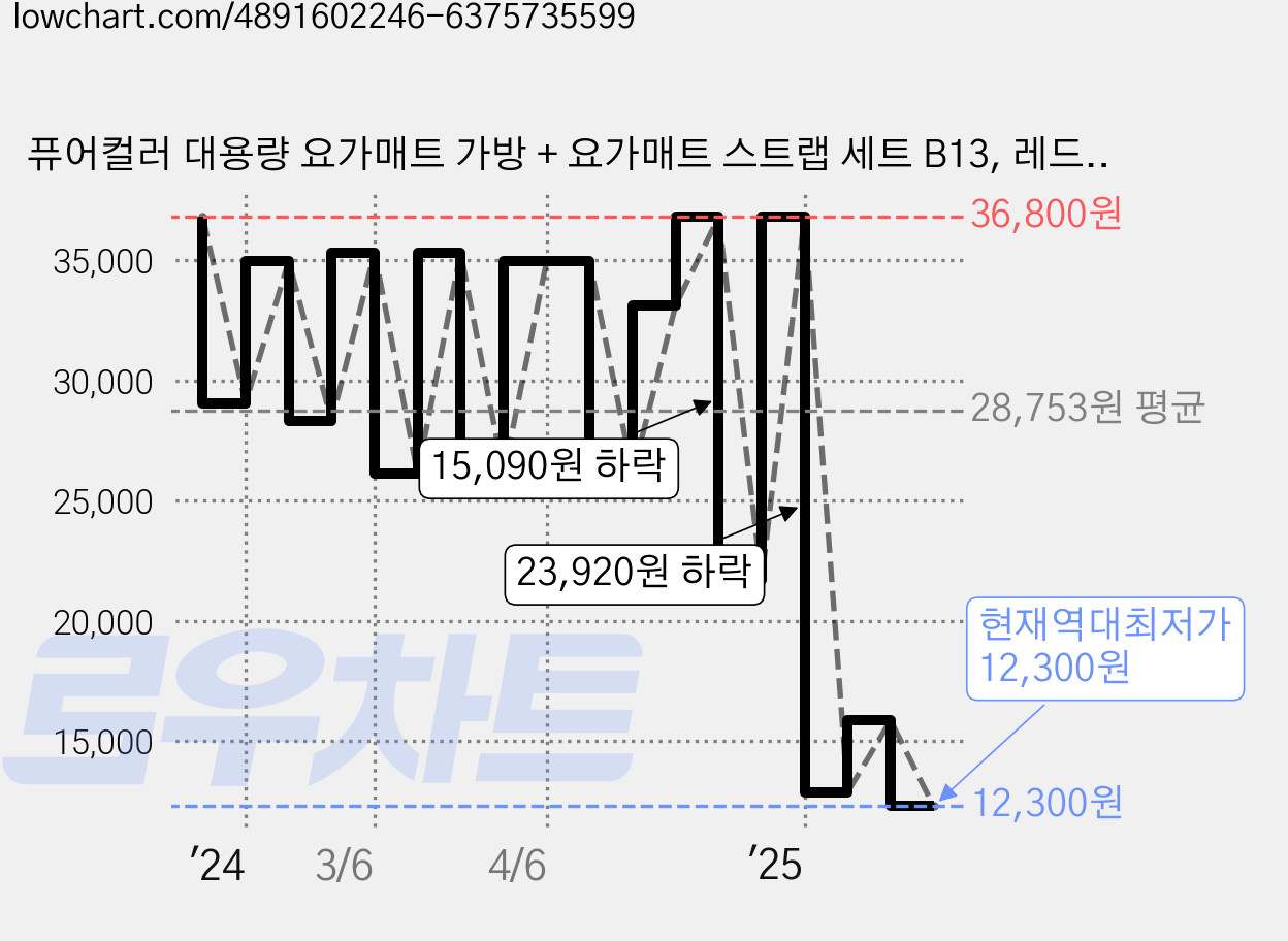 퓨어컬러 대용량 요가매트 가방 + 요가매트 스트랩 세트 B13, 레드, 1개 가격 변동 차트, 현재가 12,300원, 역대최저가