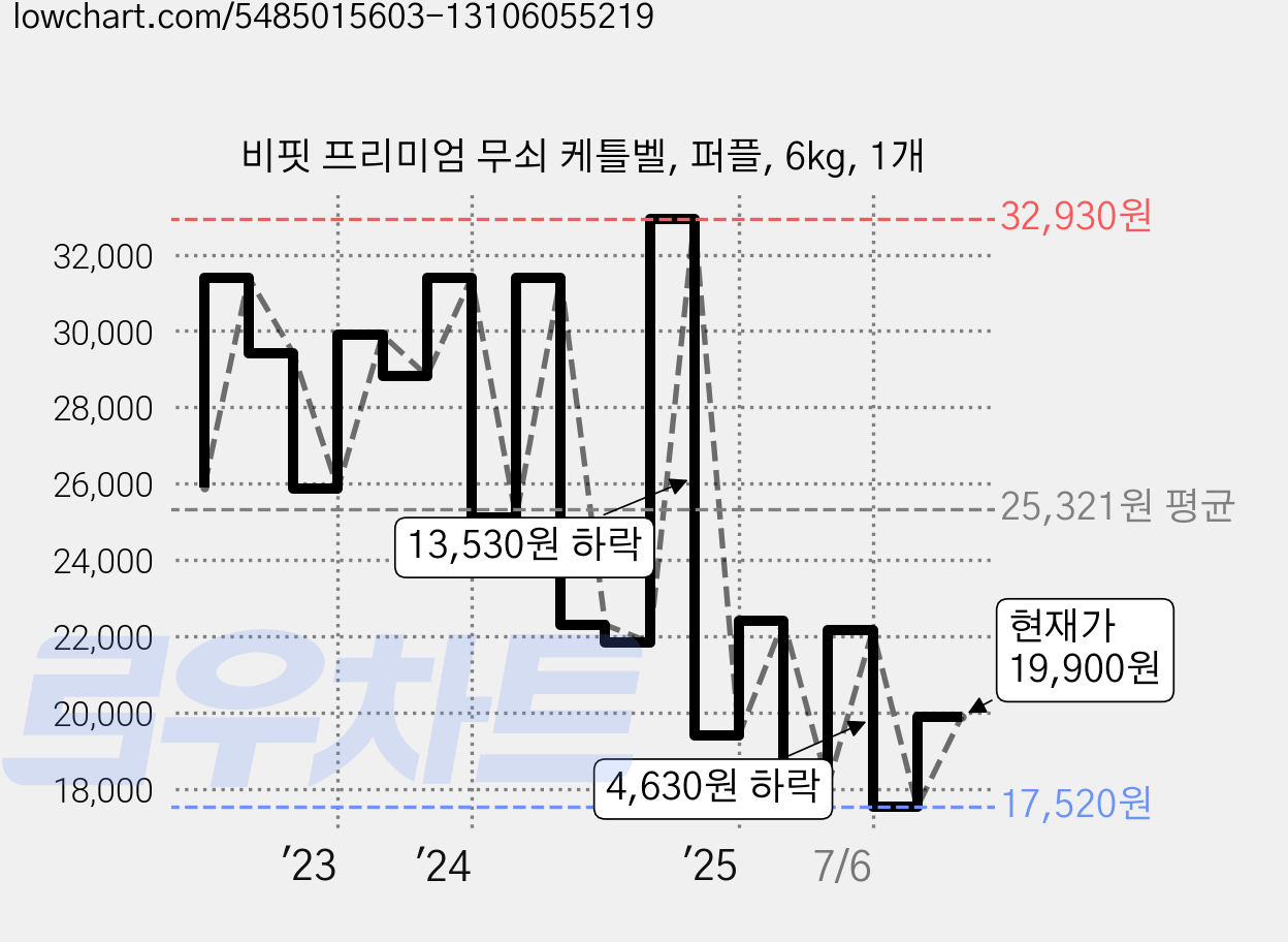 비핏 프리미엄 무쇠 케틀벨, 퍼플, 6kg, 1개 가격 변동 차트, 현재가 19,900원, 관측 최저가 17,520원