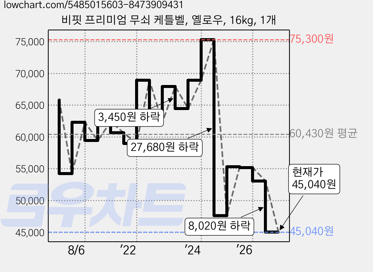 비핏 프리미엄 무쇠 케틀벨, 옐로우, 16kg, 1개 가격 변동 차트, 현재가 45,040원, 관측 최저가 41,580원