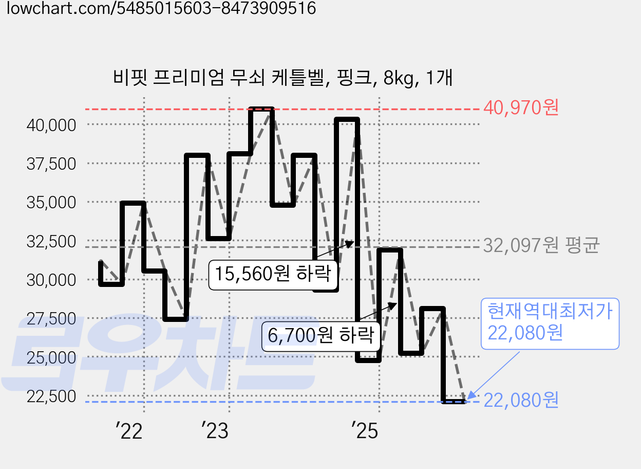 비핏 프리미엄 무쇠 케틀벨, 핑크, 8kg, 1개 가격 변동 차트, 현재가 22,080원, 역대최저가