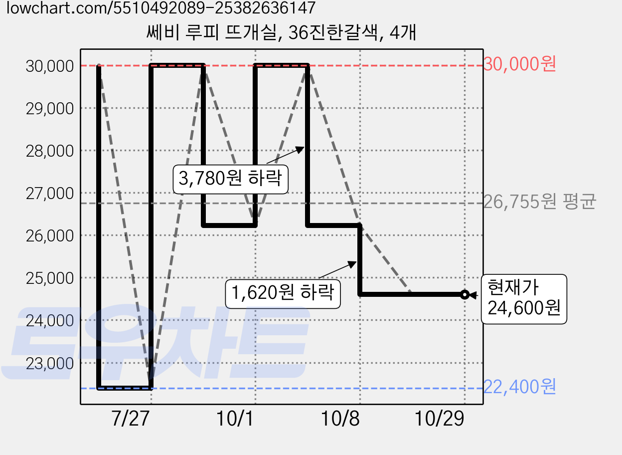 쎄비 루피 뜨개실, 36진한갈색, 4개 가격 변동 차트, 현재가 24,600원, 관측 최저가 22,400원