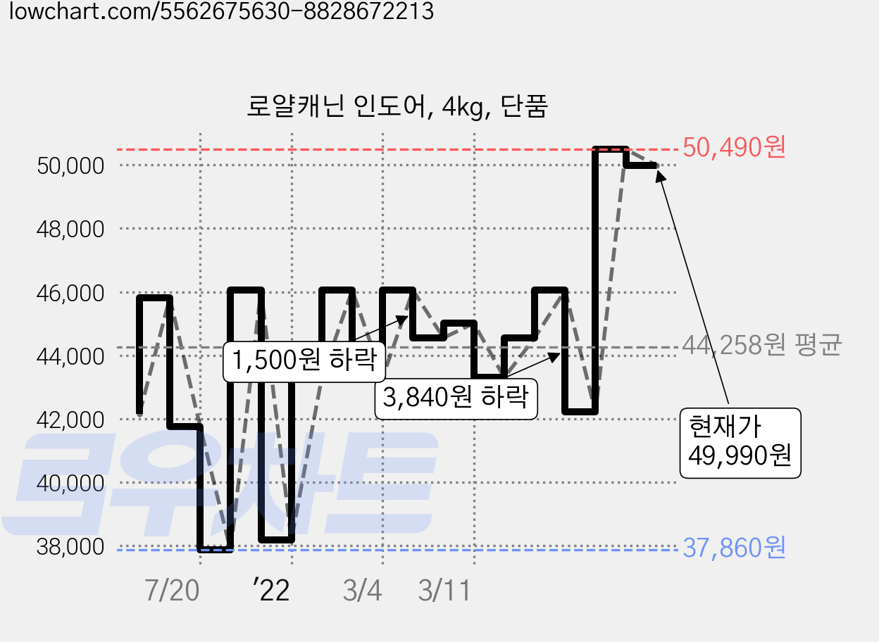 로얄캐닌 인도어, 4kg, 단품 가격 변동 차트, 현재가 49,990원, 관측 최저가 37,860원