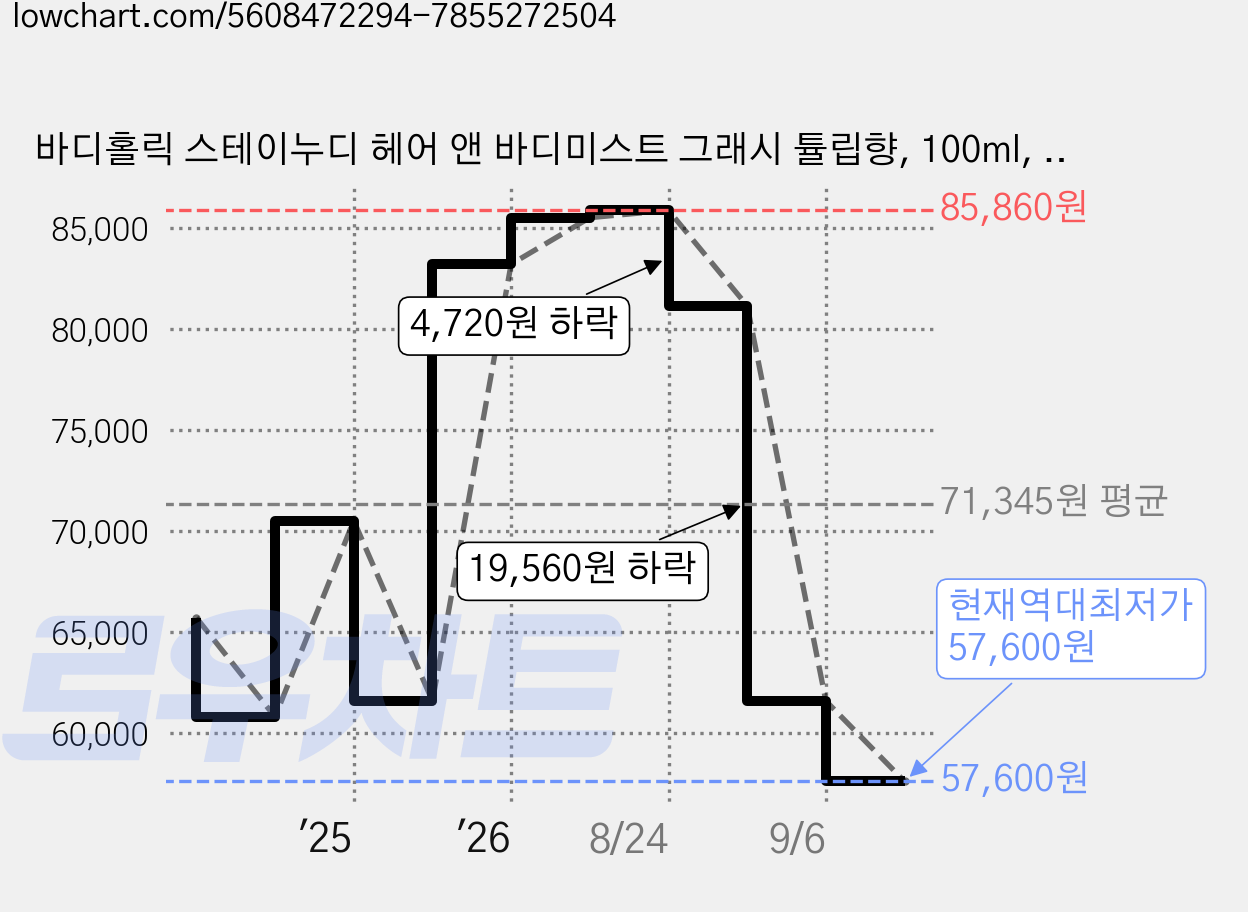 바디홀릭 스테이누디 헤어 앤 바디미스트 그래시 튤립향, 100ml, 6개 가격 변동 차트, 현재가 57,600원, 역대최저가