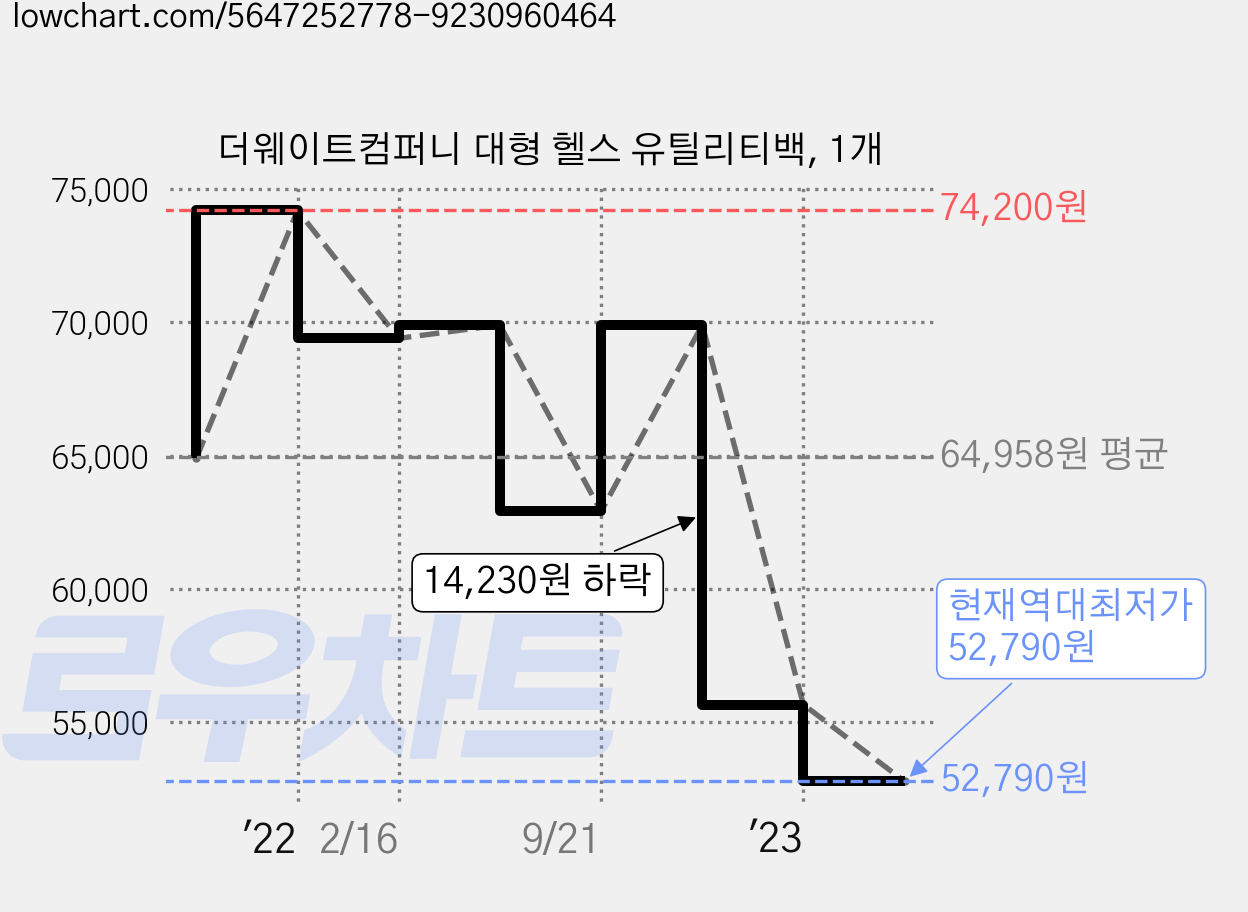 더웨이트컴퍼니 대형 헬스 유틸리티백, 1개 가격 변동 차트, 현재가 52,790원, 역대최저가