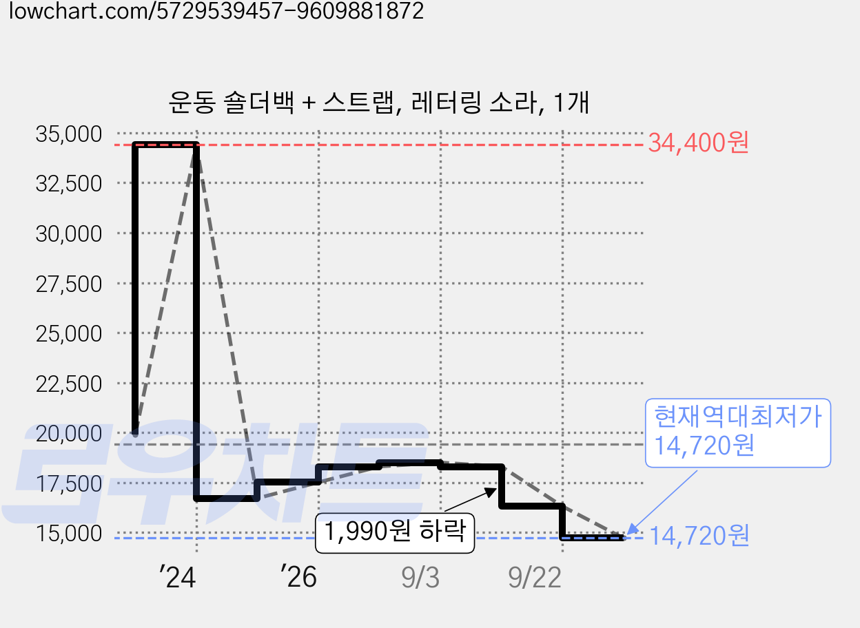 운동 숄더백 + 스트랩, 레터링 소라, 1개 가격 변동 차트, 현재가 14,720원, 역대최저가