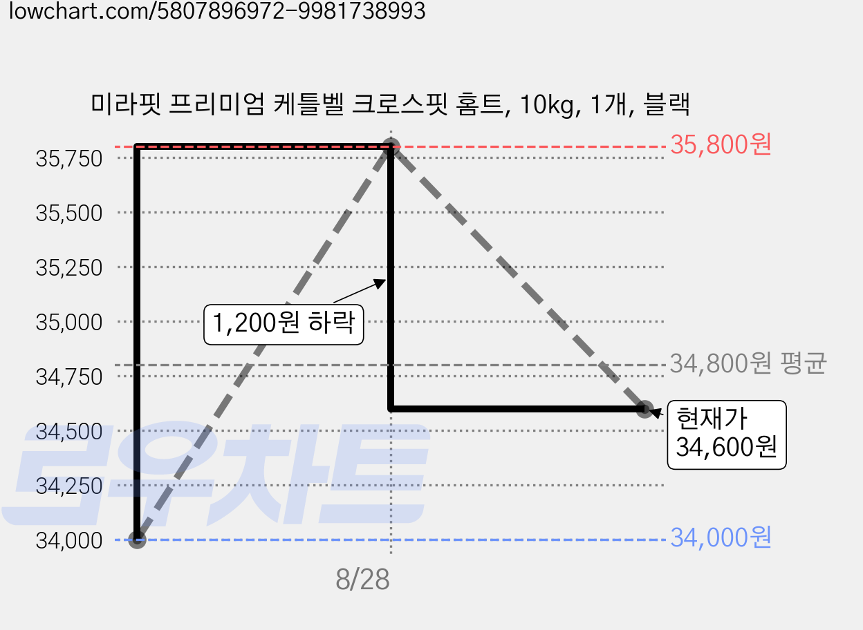 미라핏 프리미엄 케틀벨 크로스핏 홈트, 10kg, 1개, 블랙 가격 변동 차트, 현재가 34,600원, 관측 최저가 34,000원