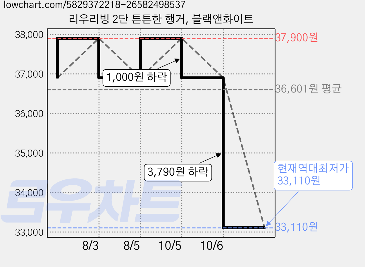 리우리빙 2단 튼튼한 행거, 블랙앤화이트 가격 변동 차트, 현재가 33,110원, 역대최저가