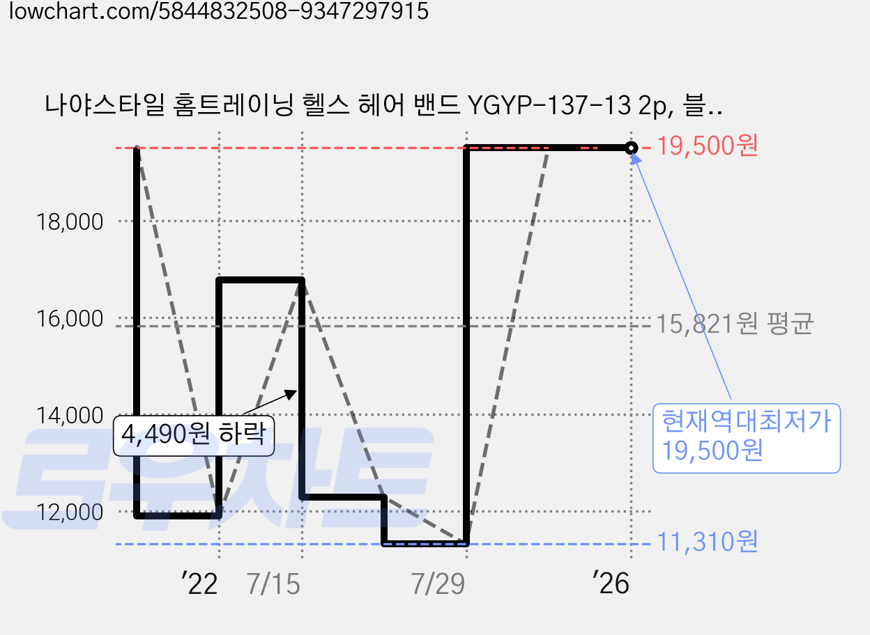 나야스타일 홈트레이닝 헬스 헤어 밴드 YGYP-137-13 2p, 블루 가격 변동 차트, 현재가 19,500원, 역대최저가