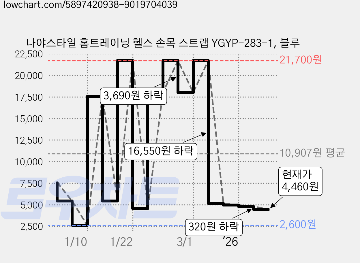 나야스타일 홈트레이닝 헬스 손목 스트랩 YGYP-283-1, 블루 가격 변동 차트, 현재가 4,460원, 관측 최저가 2,600원