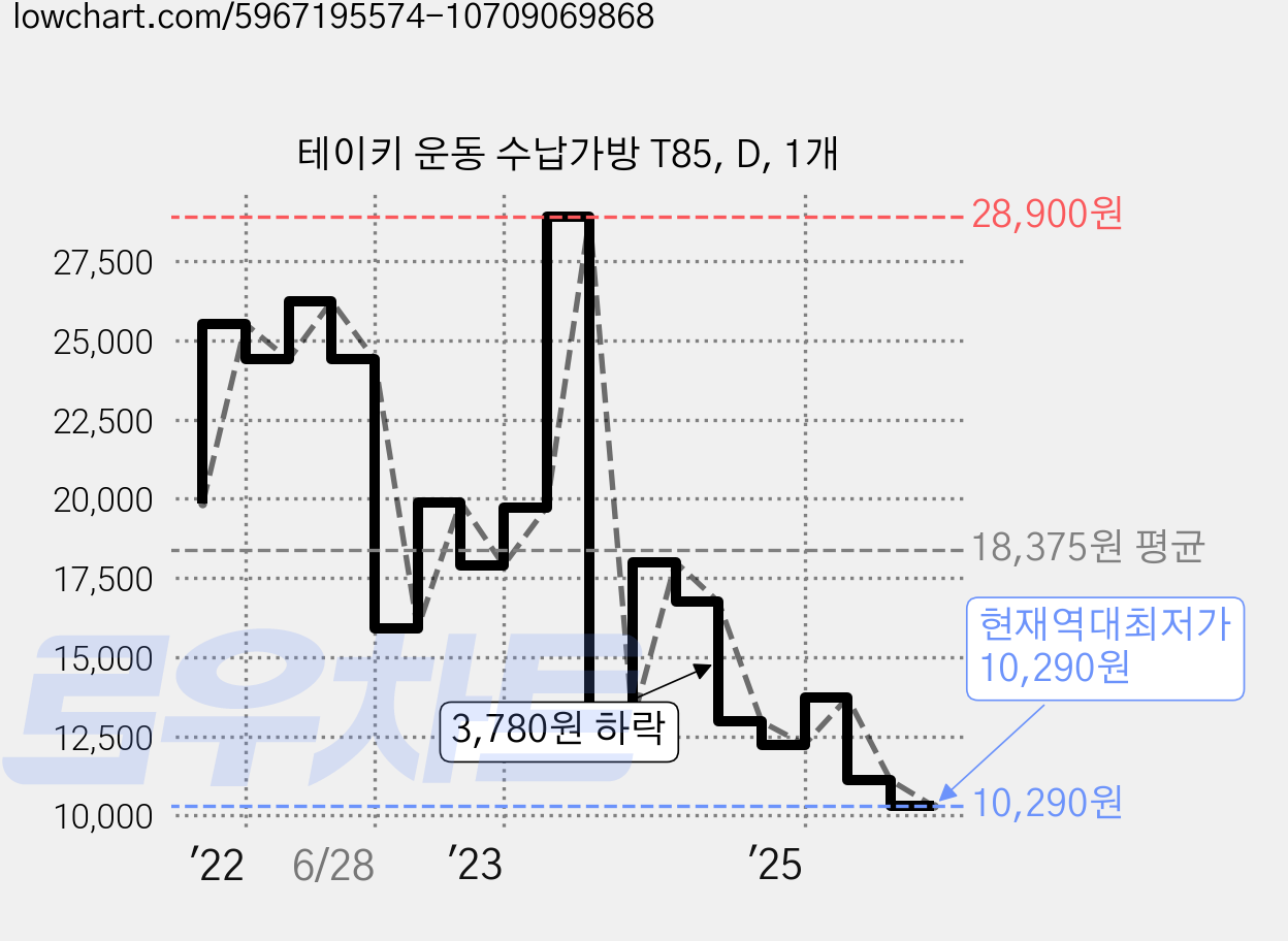 테이키 운동 수납가방 T85, D, 1개 가격 변동 차트, 현재가 10,290원, 역대최저가