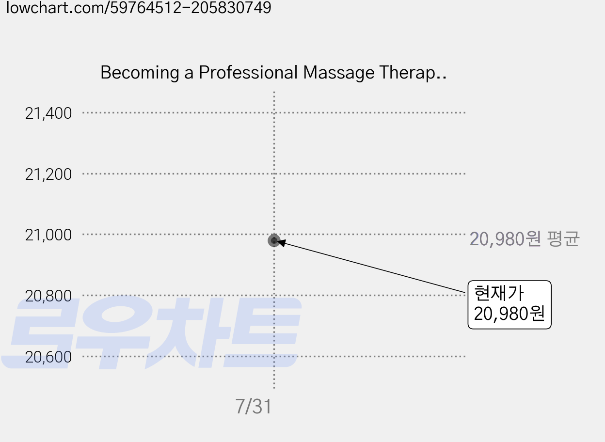 Becoming a Professional Massage Therapist: Getting to Your Destination Paperback, Stephen McEvoy 가격 변동 차트, 현재가 20,980원