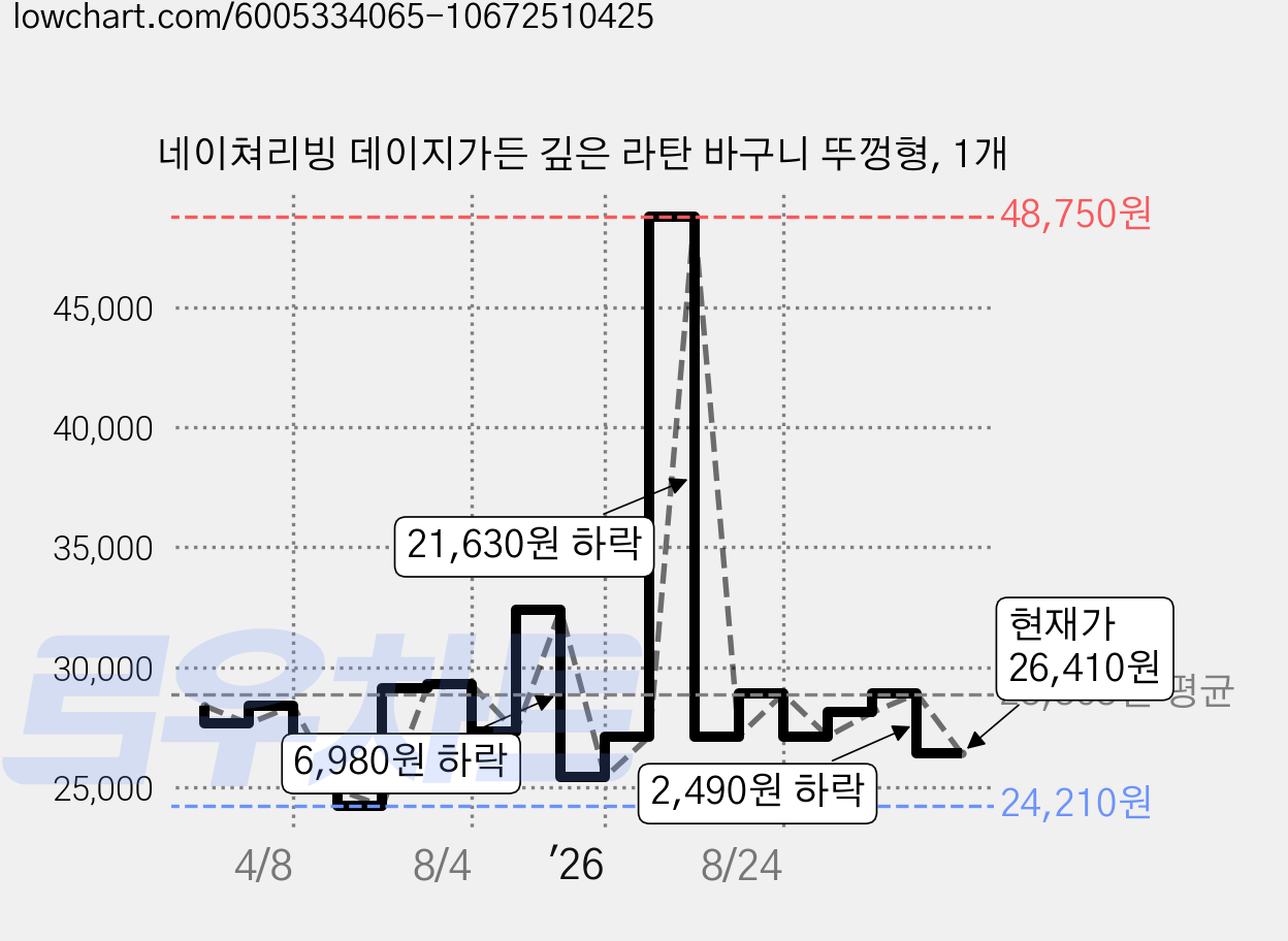 네이쳐리빙 데이지가든 깊은 라탄 바구니 뚜껑형, 1개 가격 변동 차트, 현재가 26,410원, 관측 최저가 24,210원