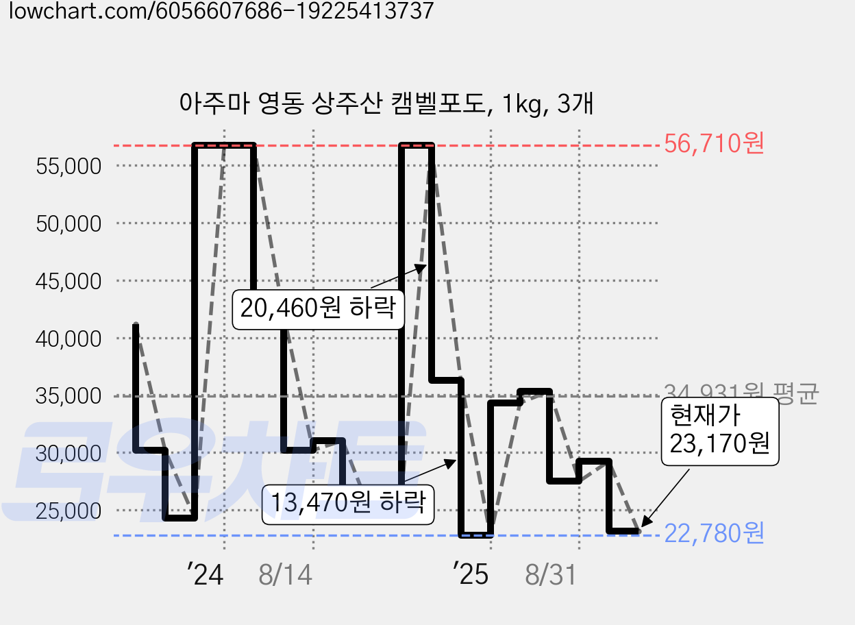 아주마 영동 상주산 캠벨포도, 1kg, 3개 가격 변동 차트, 현재가 23,170원, 관측 최저가 22,400원